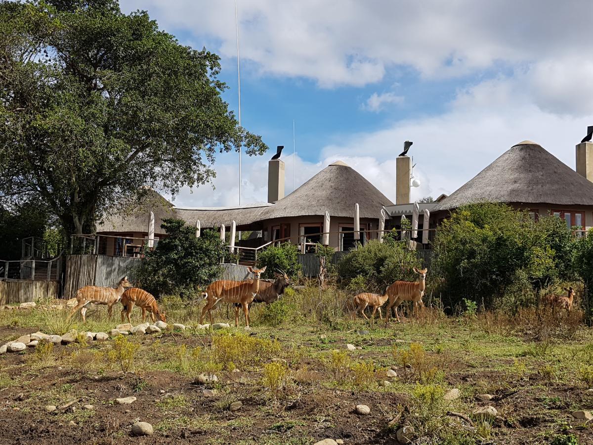 Nambiti Plains Lodge Ladysmith Exterior foto