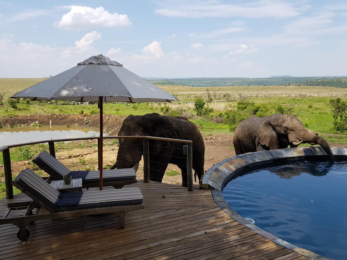 Nambiti Plains Lodge Ladysmith Exterior foto